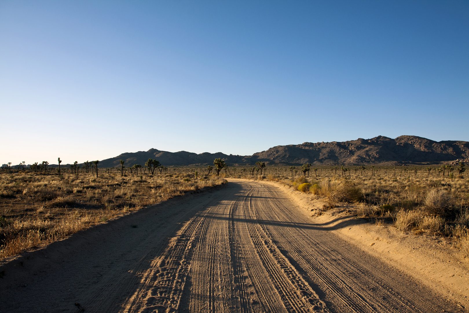 ruta coachella palm springs mojave desierto