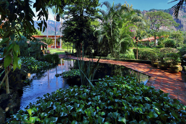 amomoxtli in tepoztlan