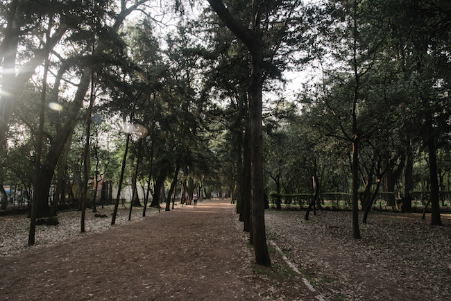 green spaces in mexico city