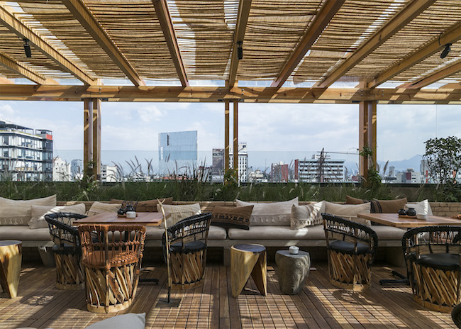 The Guide to Rooftops in Mexico City