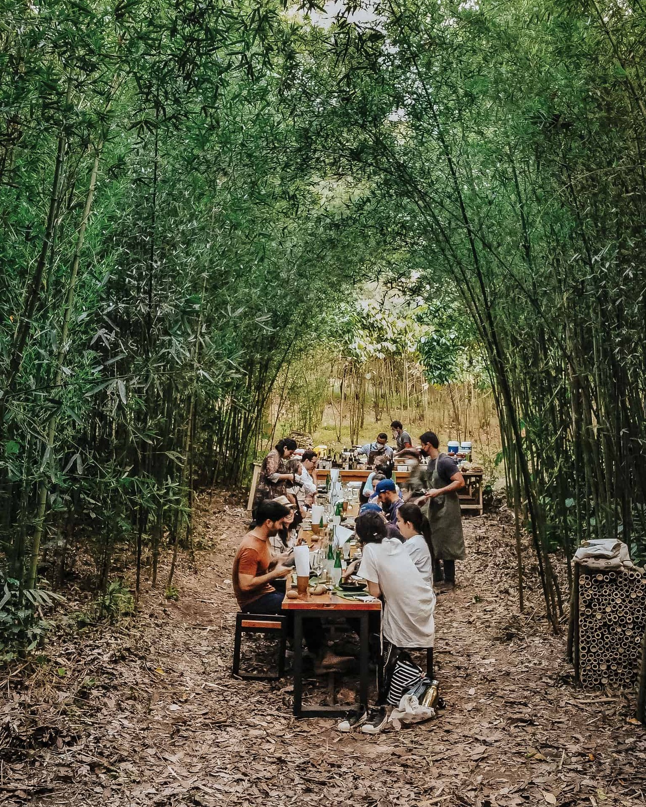 Qué hacer, dónde dormir y qué ver en Atitlán, Guatemala