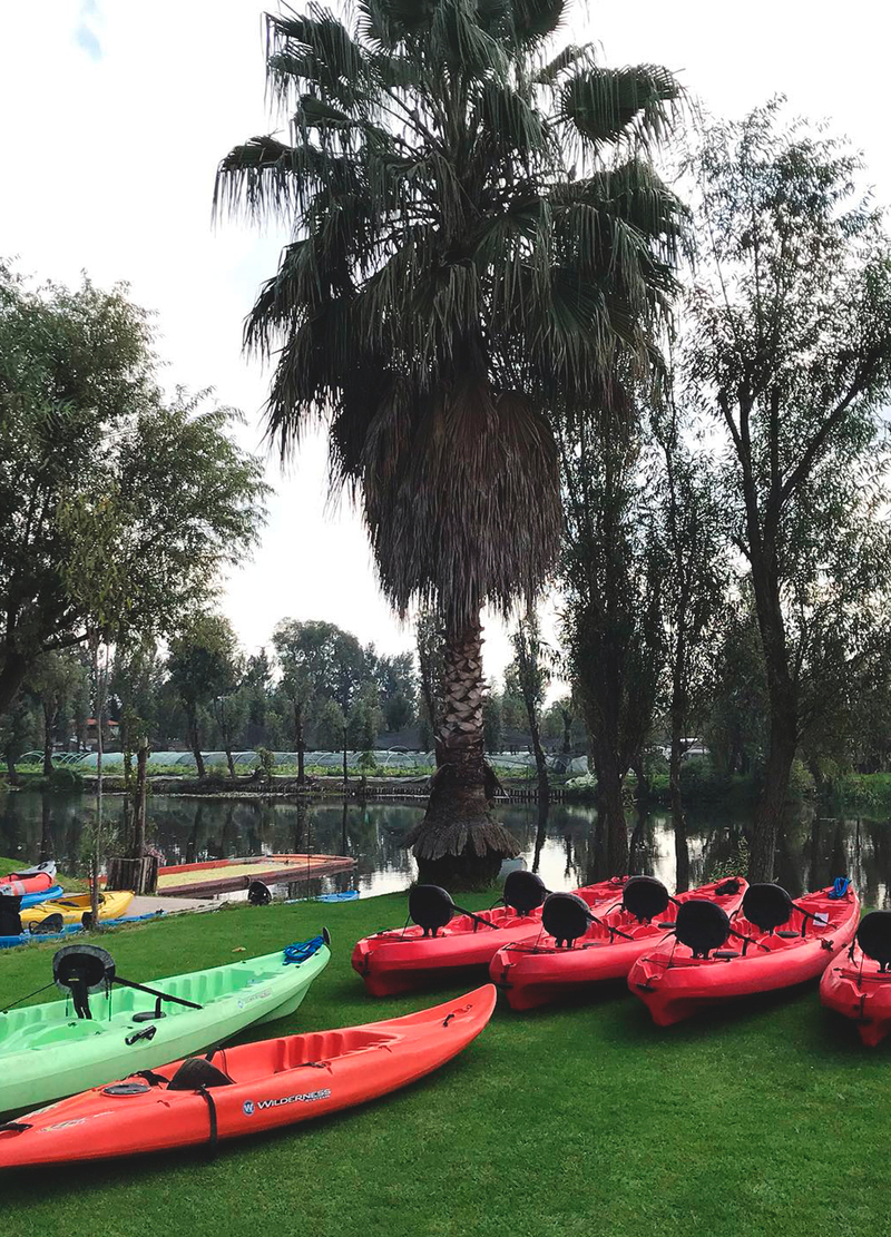 ¡Qué empiece el recorrido!