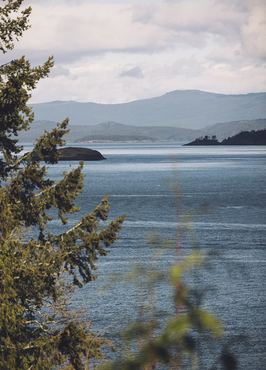 Isla de Vancouver, hogar del fotógrafo de conservación visionario y Testimonial de Rolex Paul Nicklen. Tras dedicar su carrera a la defensa del planeta, las impresionantes imágenes de Nicklen acercan la belleza y fragilidad del mundo natural a personas de todo el mundo. Su nuevo libro, Reverence, es uno de sus proyectos más importantes hasta la fecha. Foto: © Rolex / Arnaud Montagard.