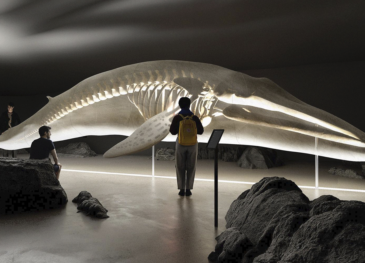 Un museo donde también se pueden ver ballenas