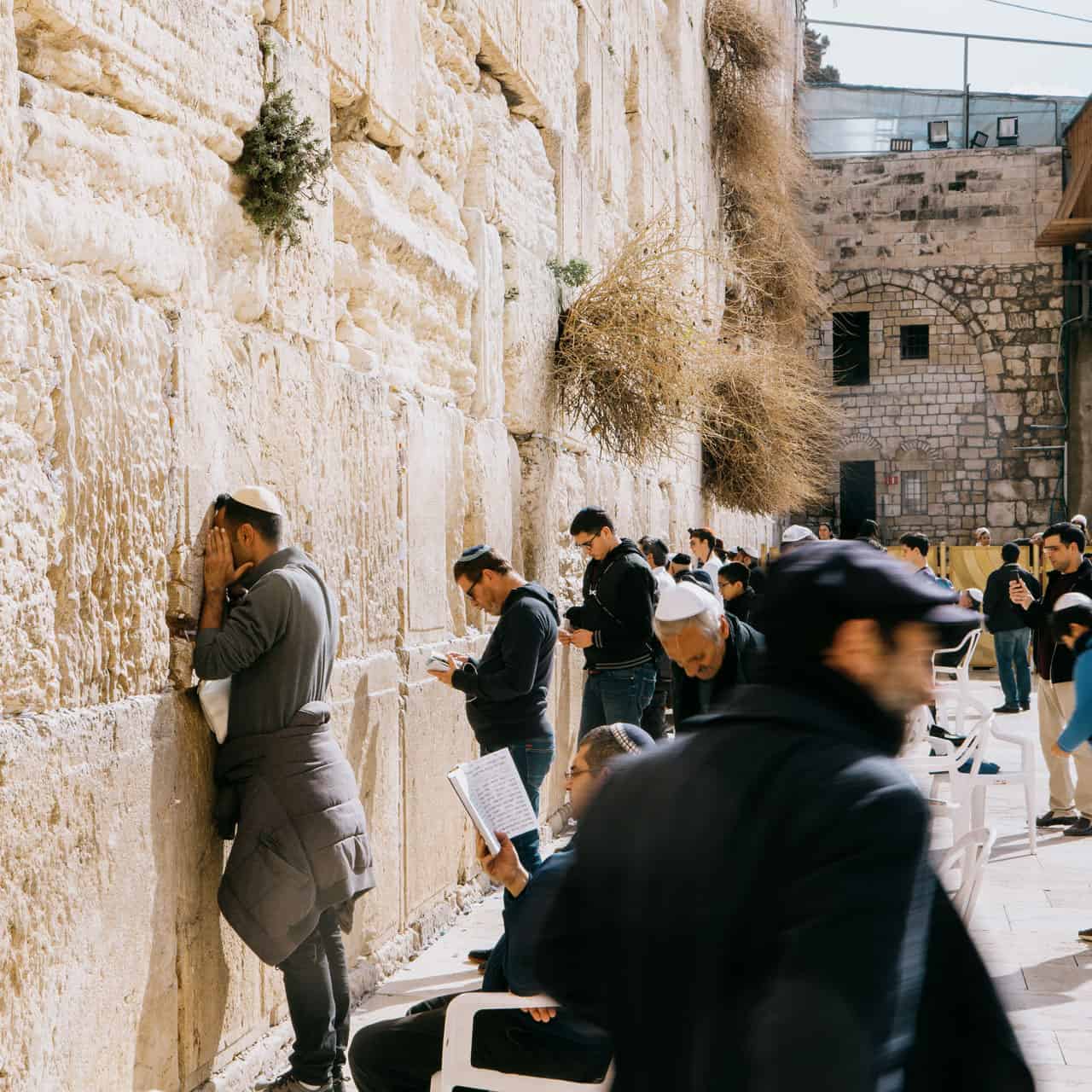 Una peregrinación mexicana a Tierra Santa (primera parte), image size:1280x1280