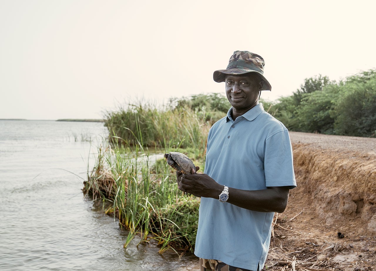 Una villa para salvar a las tortugas