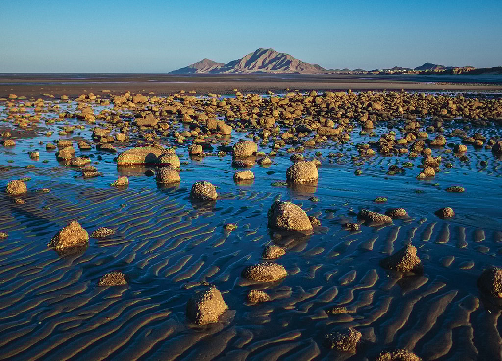 Cruzamos de mar a mar, por lo ancho de la península, pedaleando la carretera 3. Este tramo atraviesa los valles de Ojos Negros y de La Trinidad, donde el desierto se impone sin tregua por más de 100 kilómetros. Sólo hasta llegar a Las Ventanas, se asomó por primera vez, entre la tierra, el golfo de California, calmando el calor y la soledad que dejábamos atrás.