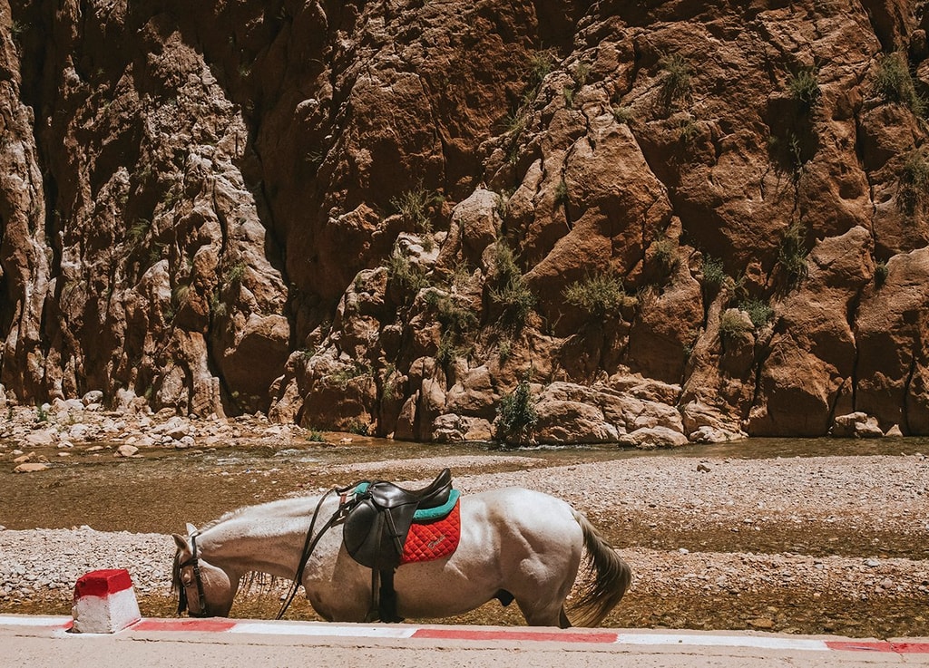 Al sureste de Marruecos, a pocos kilómetros de la frontera con Argelia, se encuentra el desierto de Merzouga, un destino famoso entre viajeros por sus altas dunas y sus atardeceres.