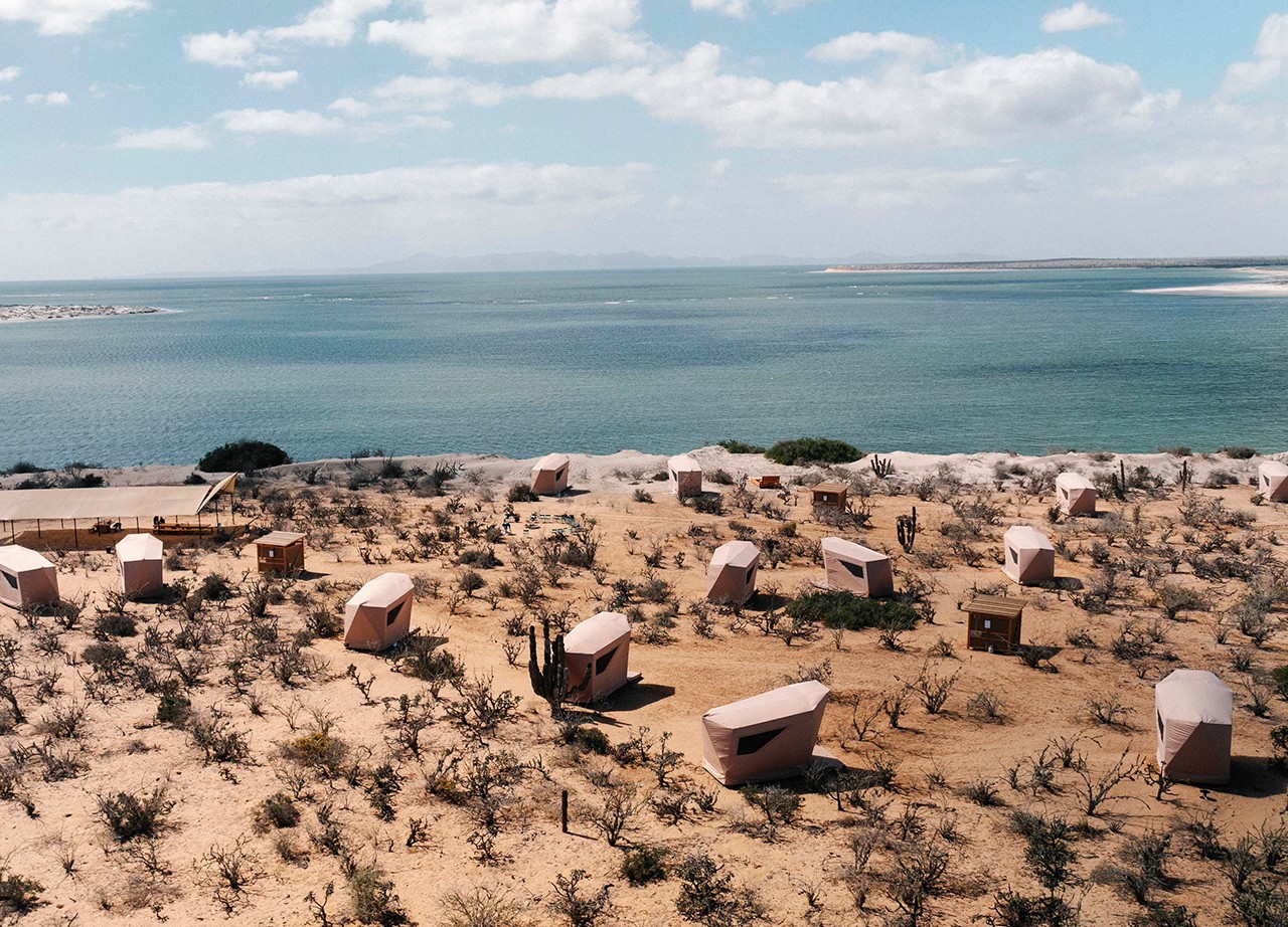 Las tents de Akampa en la bahía Magdalena. Tienen 15 tiendas, donde te puedes hospedar para salir al safari marino.