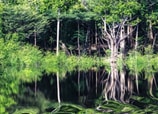 Navegar por el Amazonas en una embarcación tradicional de madera