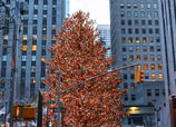 Árboles de Navidad alrededor del mundo 