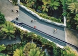 12 tendencias que muestran cómo la tecnología está cambiando las ciudades