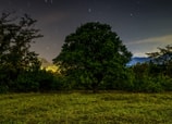 Nanacamilpa: el bosque mágico de Tlaxcala