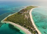 Alacranes: el secreto mejor guardado de Yucatán ￼