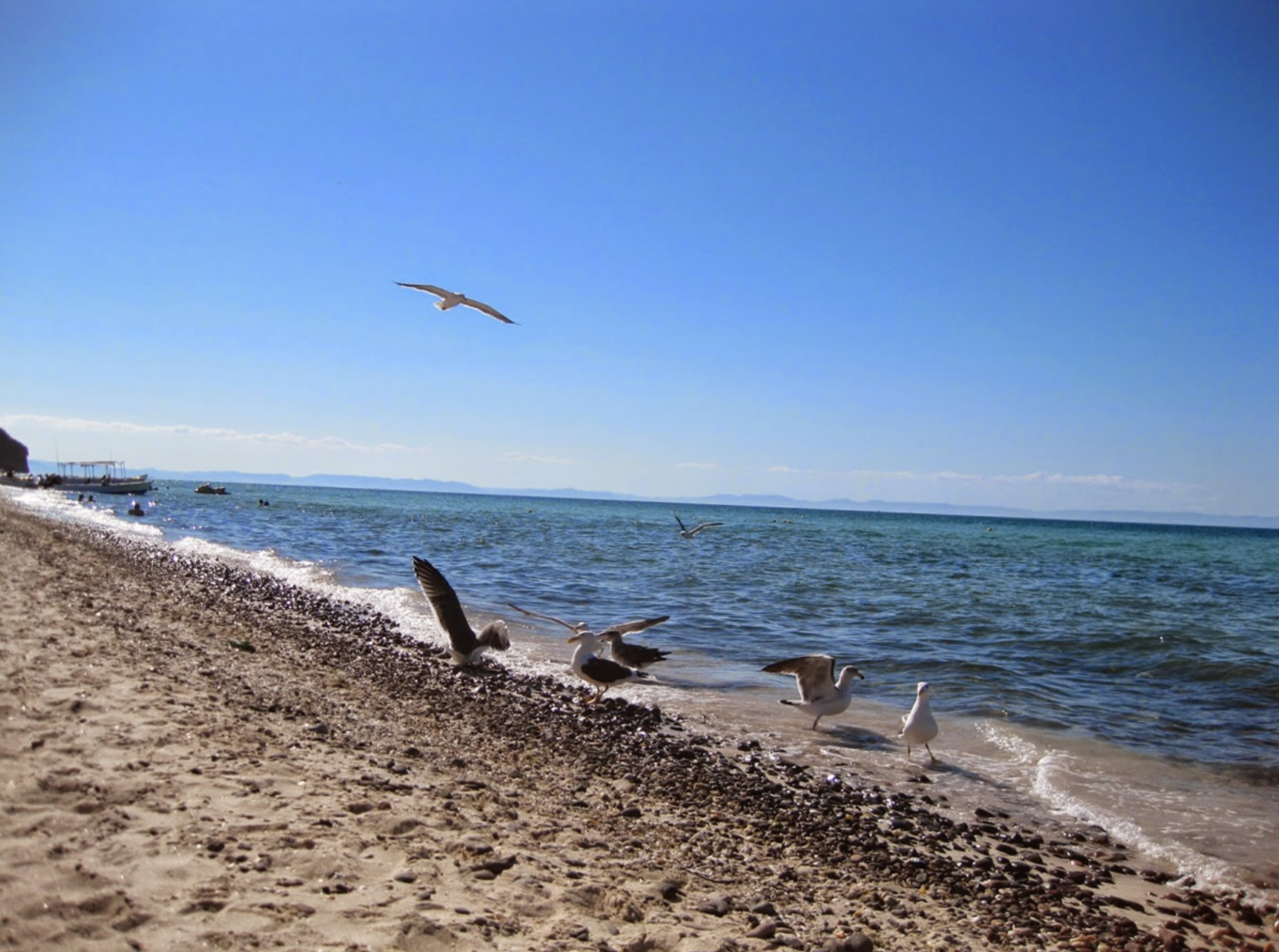 Cómo y a dónde viajar para sacarle provecho al verano