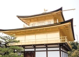 Novedades, costumbres y viejos conocidos sorprendieron a amigos y colaboradores que acaban de regresar a Japón.