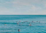 ¿Cruzar el Mar de Cortés nadando? Cuatro formas para redescubrir sus profundidades