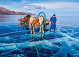 El lago Khövsgöl Nuur, al norte de Mongolia.
