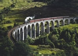 Explorando las rutas de tren más emblemáticas del mundo
