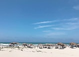 ¿Por qué no llegan huracanes a Tampico? Te vas a sorprender con las teorías