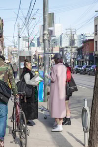 Toronto multicultural