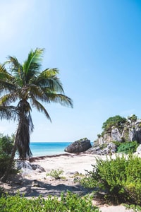 caribe