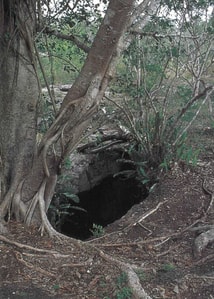 cenotes-yucatan-antes