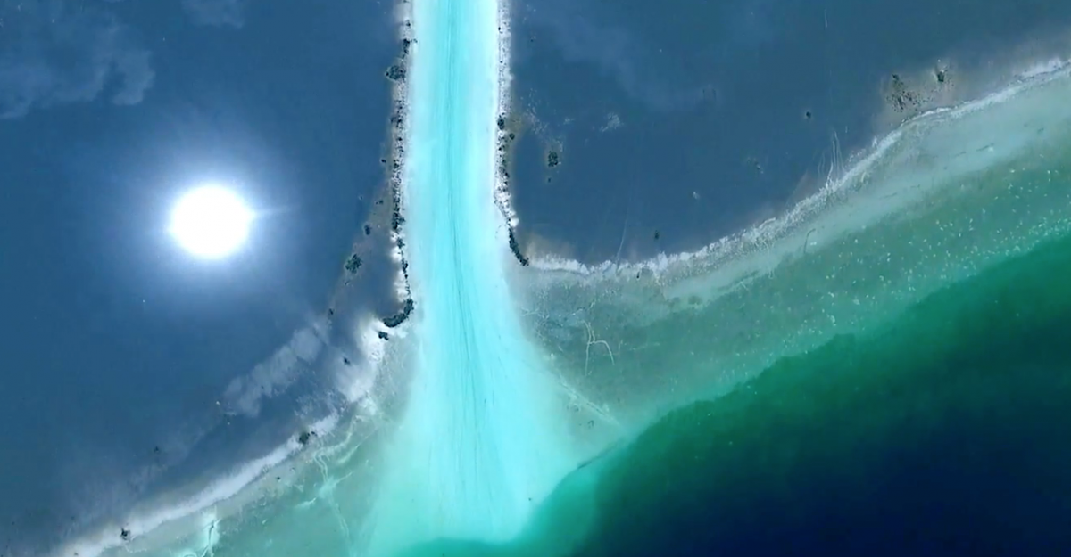 bacalar