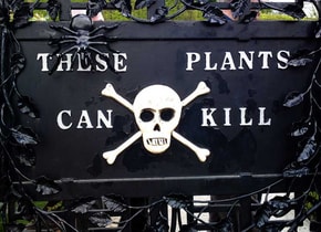 Jardín botánico de plantas venenosas en Inglaterra