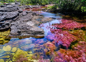 caño crislates colombia