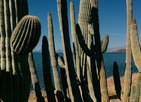 Historias de hoteles: Playa de Cortés, Guaymas, Sonora