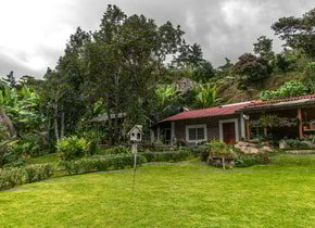 Reserva de la biosfera El Triunfo: el gran bosque nuboso de Chiapas