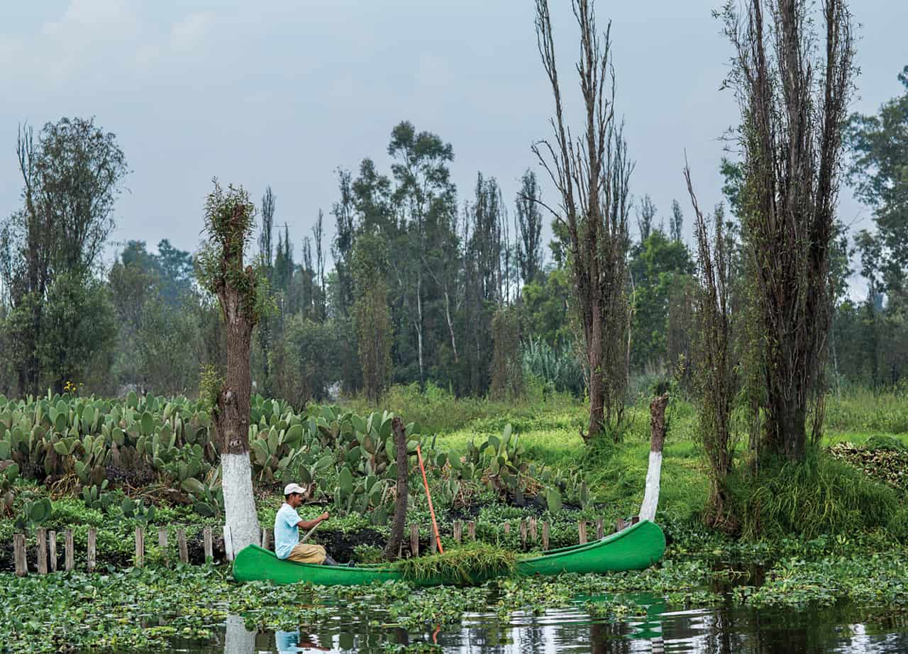 Impresiones locales: revalorar los espacios (naturales) de siempre