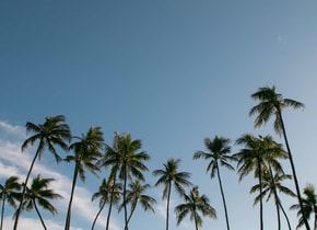 Hawái: un diario fotográfico de Oahu, Kauai y Maui