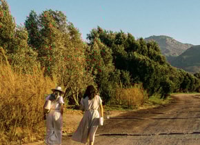 Increíbles viajes en carretera por México que debes hacer cuanto antes