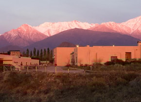 Entre copas: cómo es recorrer los viñedos de Argentina y dormir en ellos