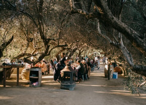 La guía gastronómica para el Valle de Guadalupe y Ensenada