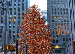 Árboles de Navidad alrededor del mundo 