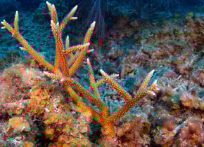 3 reservas naturales en México que seguramente no conocías 