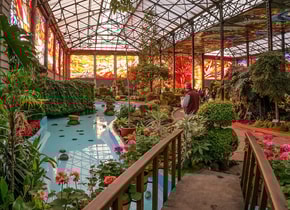 Un paseo por los jardines botánicos más icónicos de México
