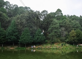 Fuga a las aguas naturales de Puebla este fin de semana