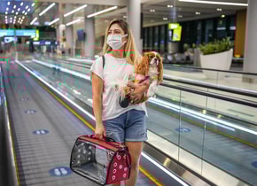 Estas son las condiciones de las aerolíneas para viajar con tu mascota