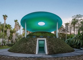 Una visita inesperada al Jardín Botánico de Culiacán