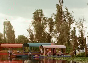 La importancia de las chinampas de Xochimilco está subestimada