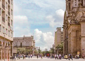 Guadalajara está llena de cultura, historia y vida, pero también hay muchos destinos a su alrededor que valen la pena.