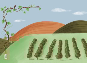 vino mexicano, Ilustración de Marisol Rivera