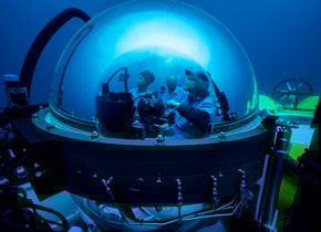 A través de Perpetual Plante, Rolex continúa su misión para proteger y preservar el medio ambiente. Foto: © Rolex