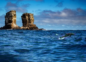 El famoso Arco de Darwin, en las Galápagos, colapsó parcialmente en 2021. Foto: © Rolex / Franck Gazzola