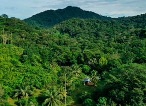 El Tapón de Darién es famoso por ser una importante reserva natural.