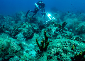 Nicolás Mollon, buzo de profundidad de Under The Pole, se acerca a un banco de peces. Foto: © Rolex/Franck Gazzola.